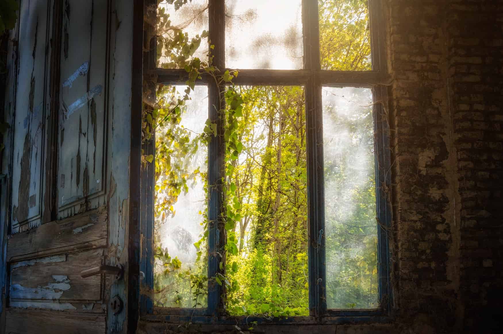 Verwuchertes Fenster in einer der Geisterstädte in Kanada
