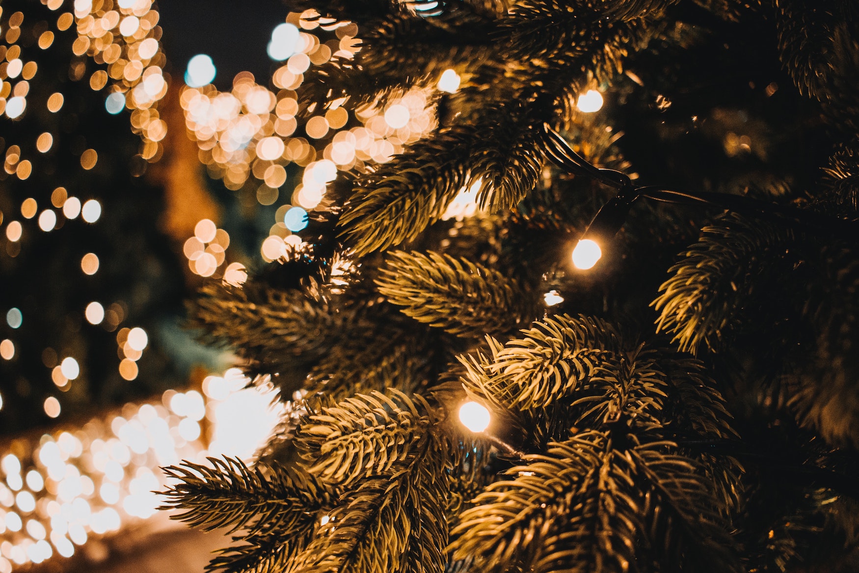 LED-Lichterkette an Weihnachtsbaum