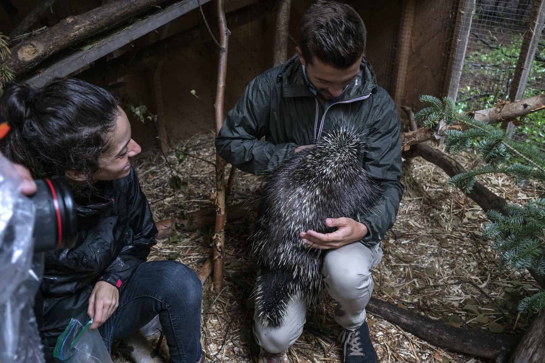 Tierpfleger kümmern sich um kranke Tiere im Wildtierheim Pageau in Quebec 