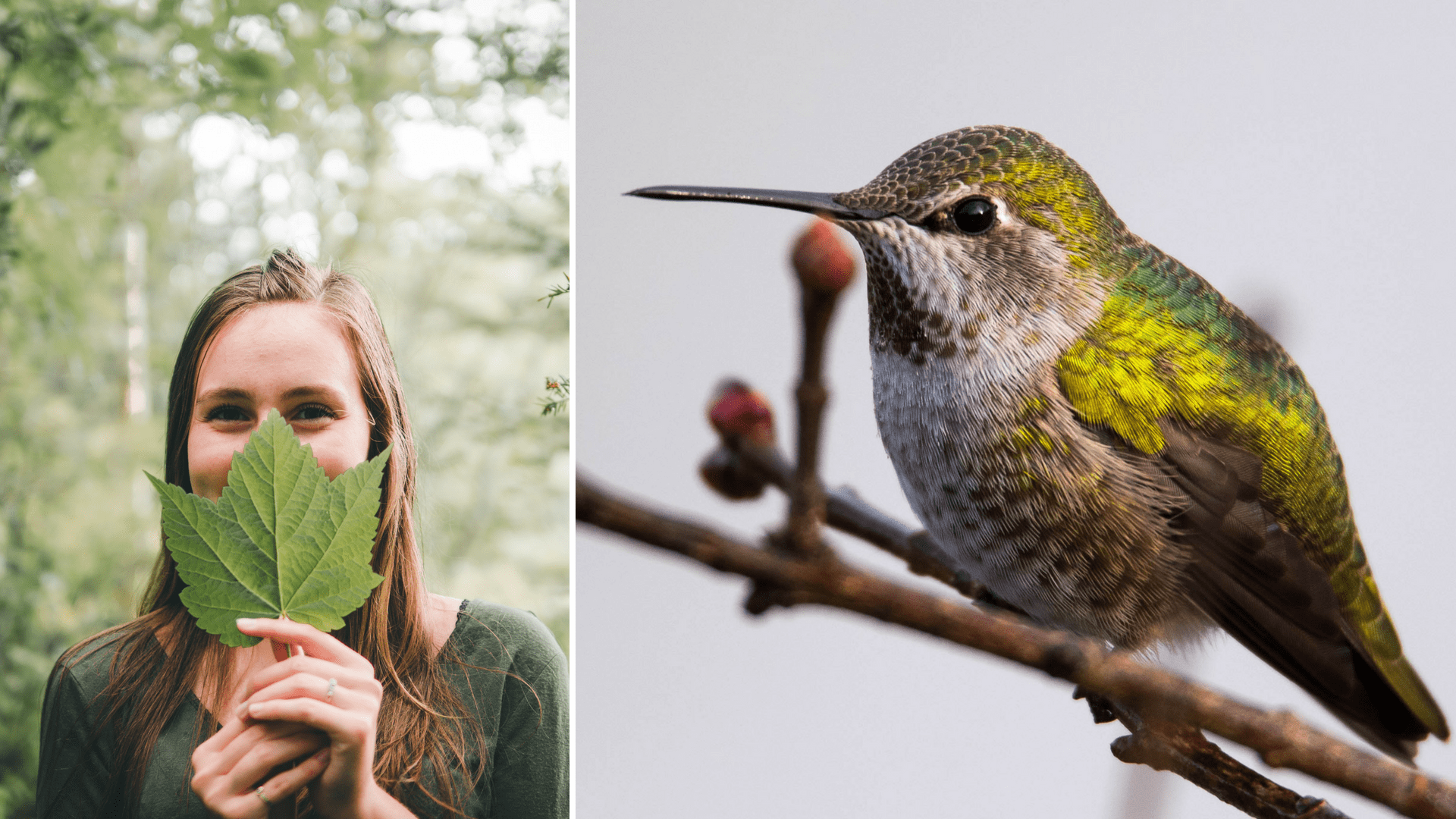 Links: Mädchen hält sich Blatt vor den Mund, rechts: Vogel in Nahaufnahme
