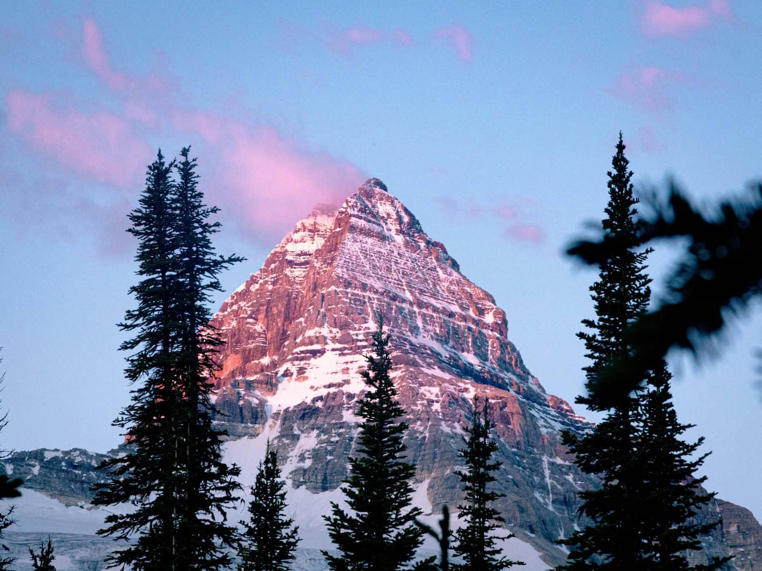 Gipfel des Mount Assiniboine. 
