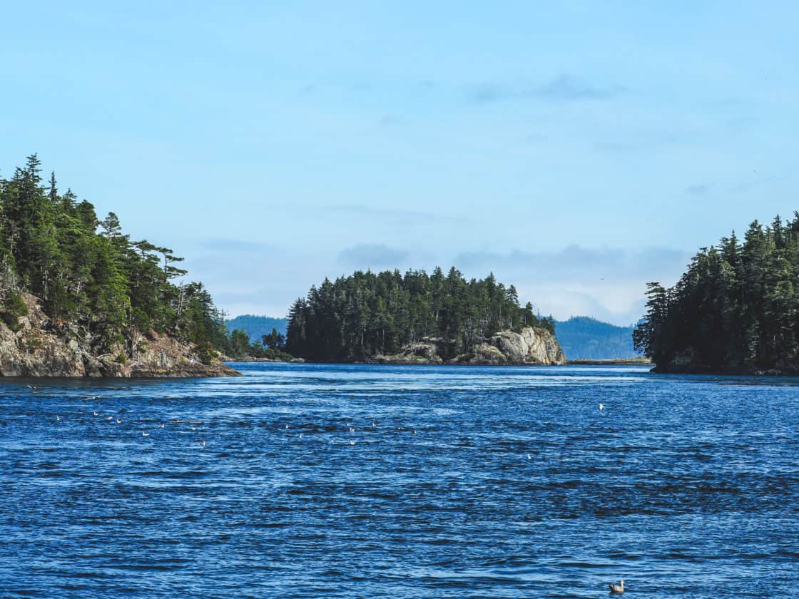 Inselchen im Johnston Strait
