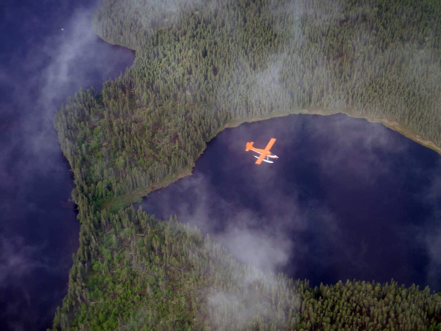 Wasserflugzeug über Wald und Meer