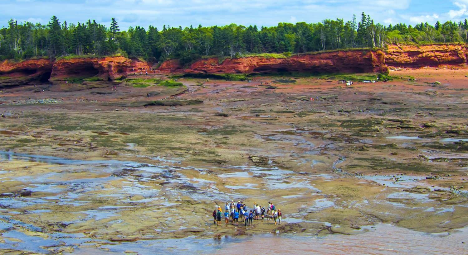 Ozeanboden Bay of Fundy