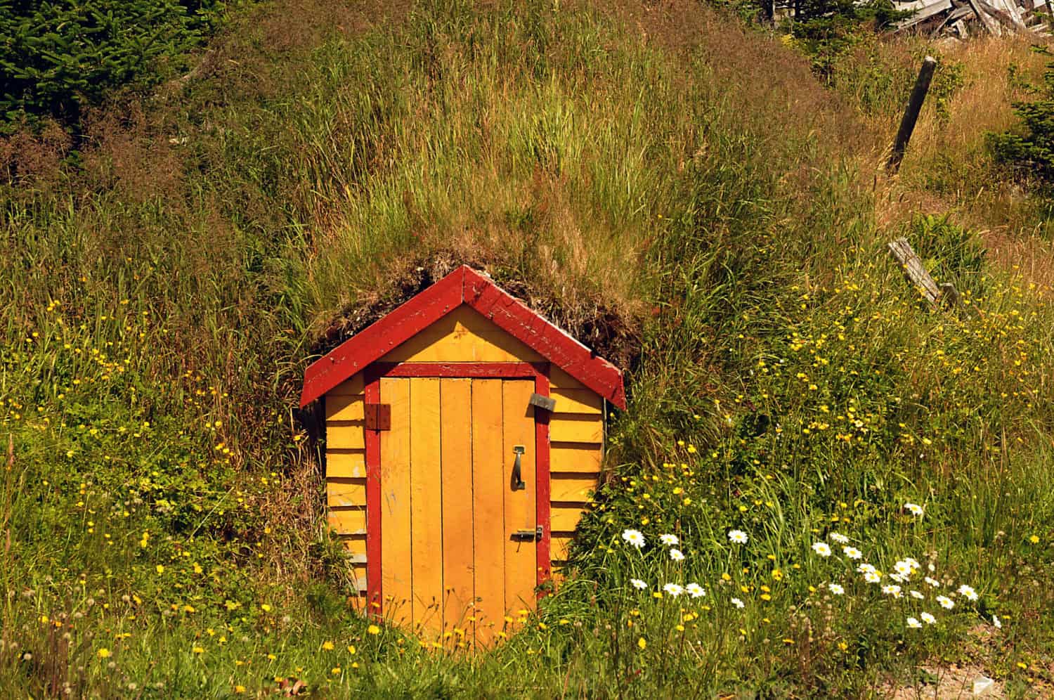 Root Cellar in Elliston