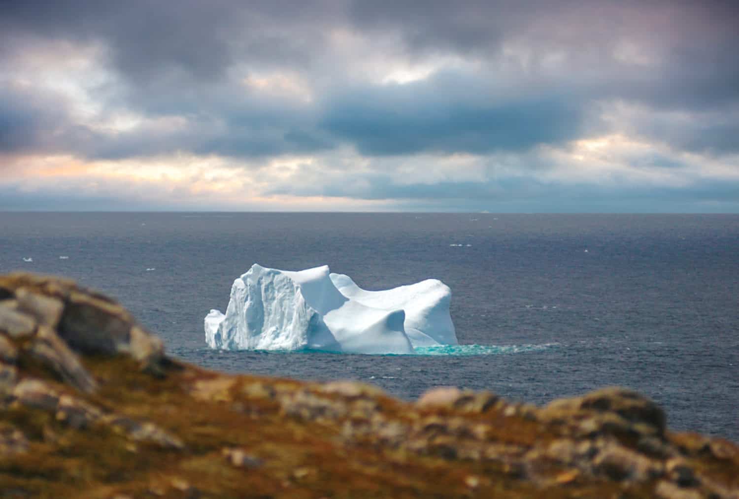 Twillingate
