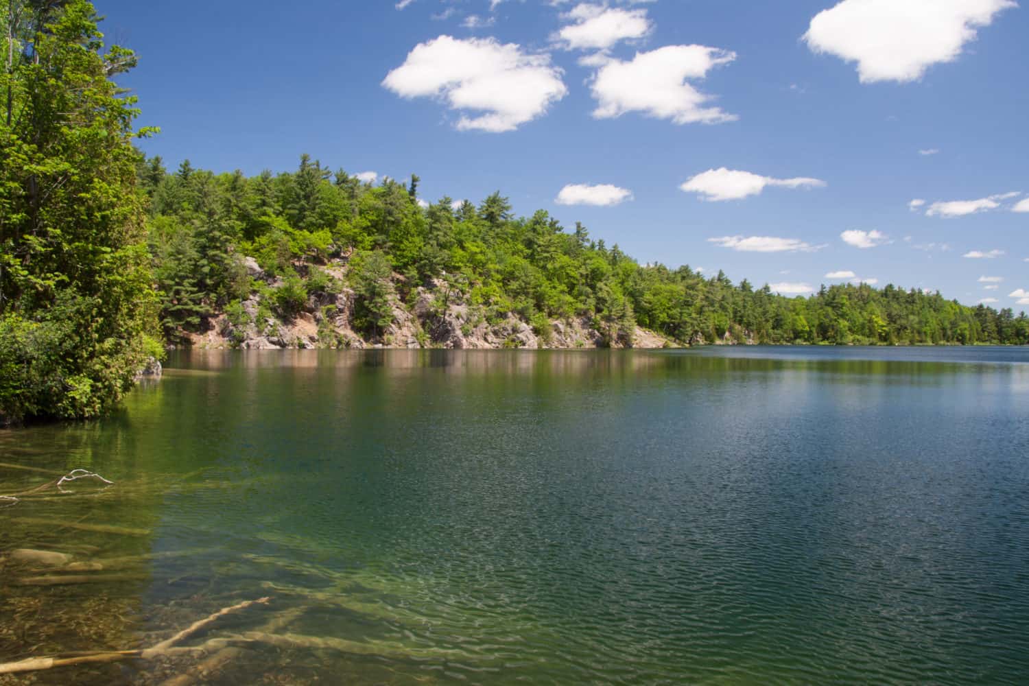 Gatineau Park, Canada.