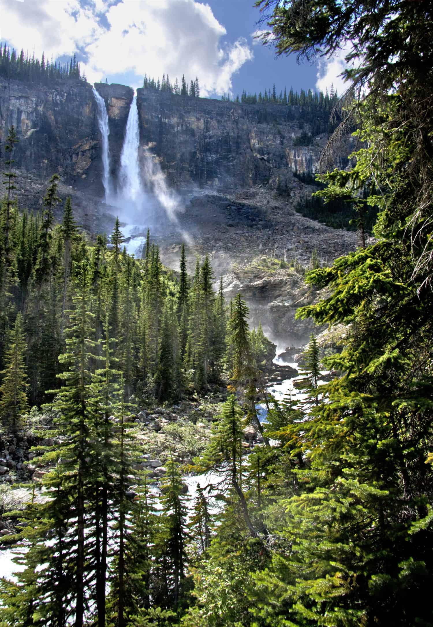 Twin Falls im Wald