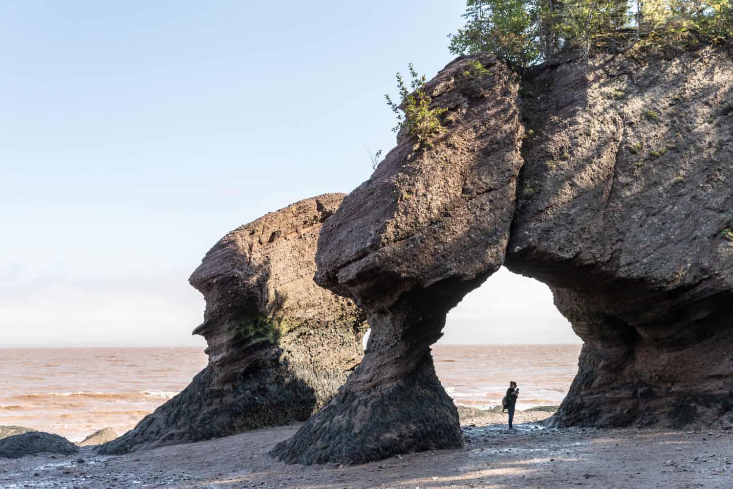 die erstaunliche Landschaft der Felsformationen an der Bay of Fundy in Hopewell Rocks, Moncton, New Brunswick.