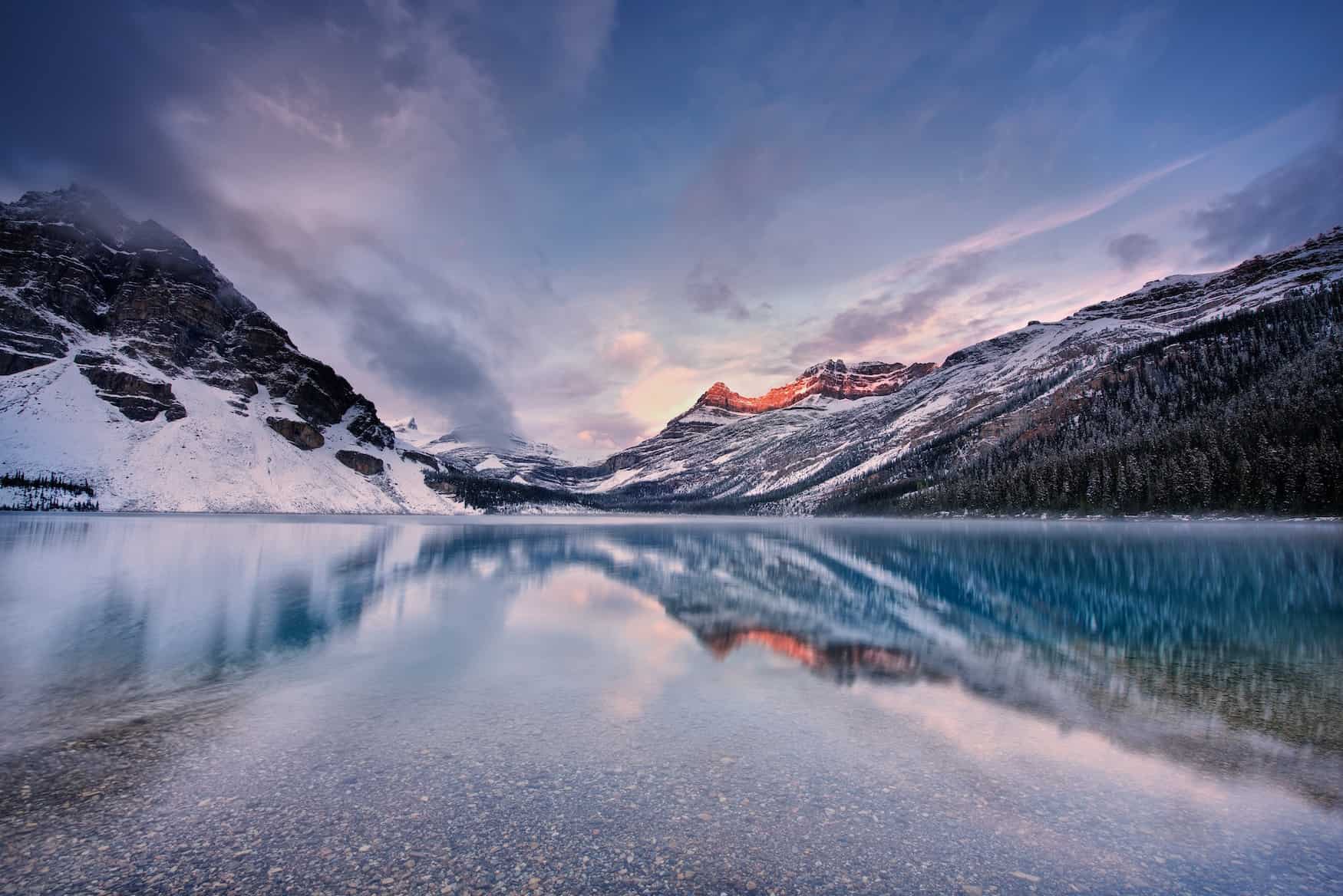 Bere spiegeln sich auf der Oberfläche des Bow Lake im Banff National Park, Alberta