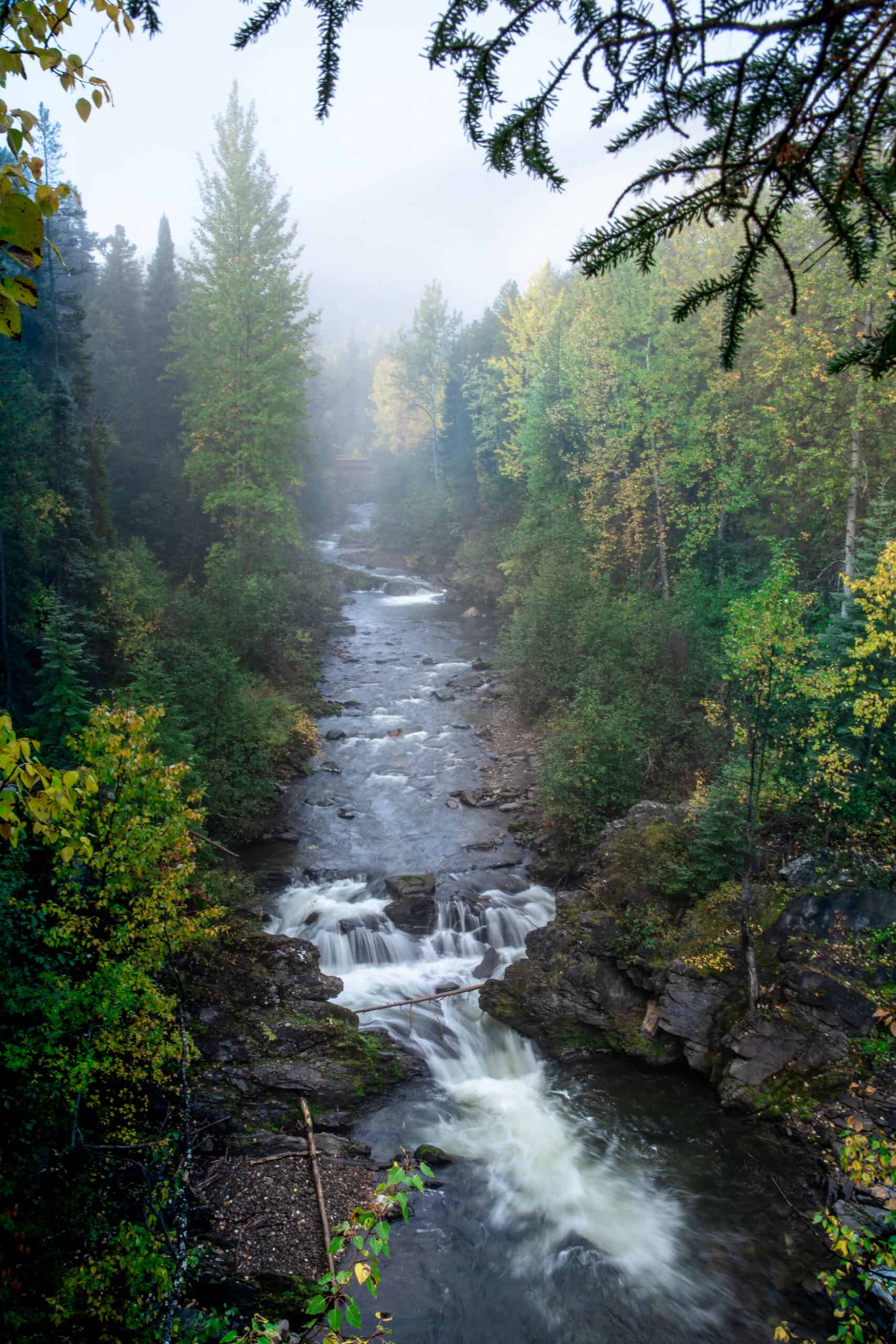 Wandern in British Columbia an den verschiedenen Creeks in Tumbler Ridge