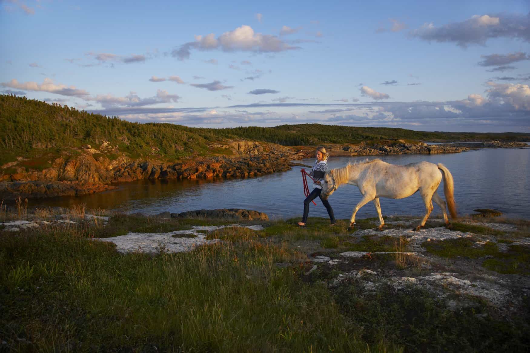 Neufundland Pony Refuge auf Change Island