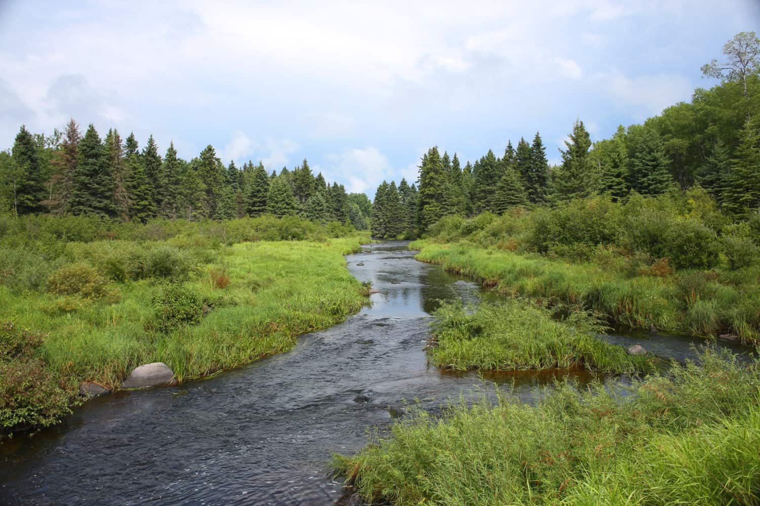 Den Grey Owl Trail, Manitoba, Kanada wandern. Riding Mountain National Parks. Fluss zwischen Wiese. Im Hintergrund Tannenbäume