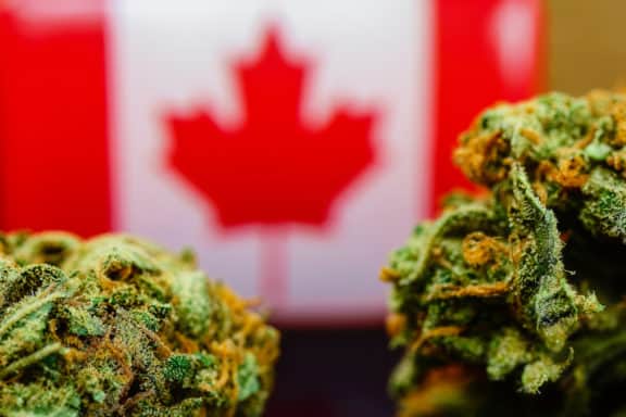Cannabis mit Kanadaflagge im Hintergrund