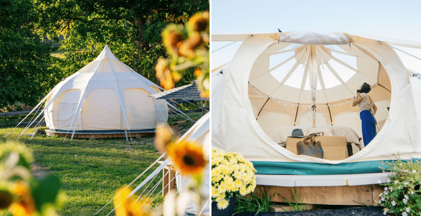 Glamping Zelte im Bear Spring Eco Retreat, eins der besonderen Hotels in Kanada