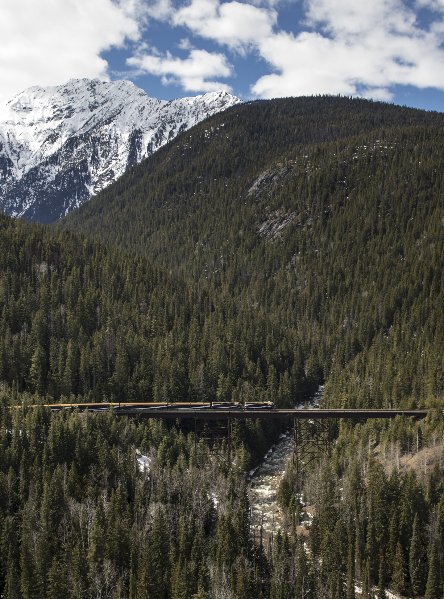 Zug fährt durch kanadische Landschaft