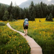 Tolle <span>Wanderwege</span> in British Columbia