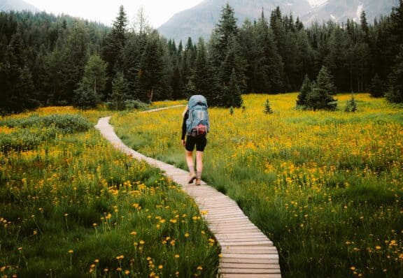 Person wandert über Holzpfad in British Columbia.
