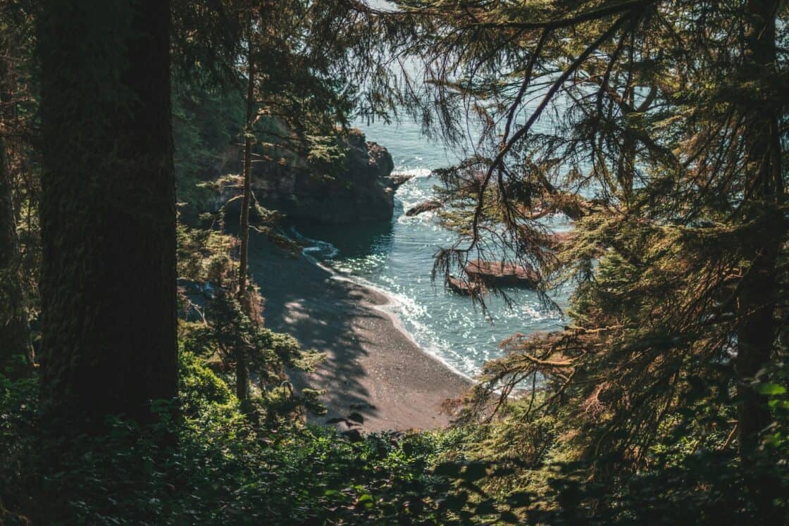 Blick durch die Bäume an auf den Strand von Vancouver Island.