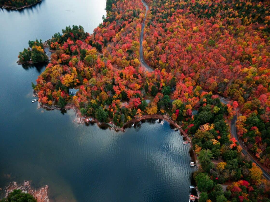 Herbst in Kanada, Ontario. Luftaufnahme der fabenfrohen Wälder.