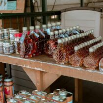 Ahornsirup Kanada: Flüssiges Gold aus <span>Québec</span>