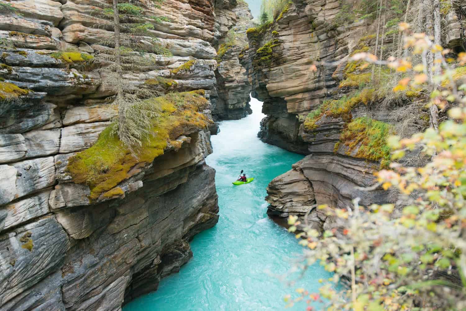 Kayak fahren durch die Natur Albertas: Auf dem Athabasca River an den Athabasca Falls in Kanada geht das gut!