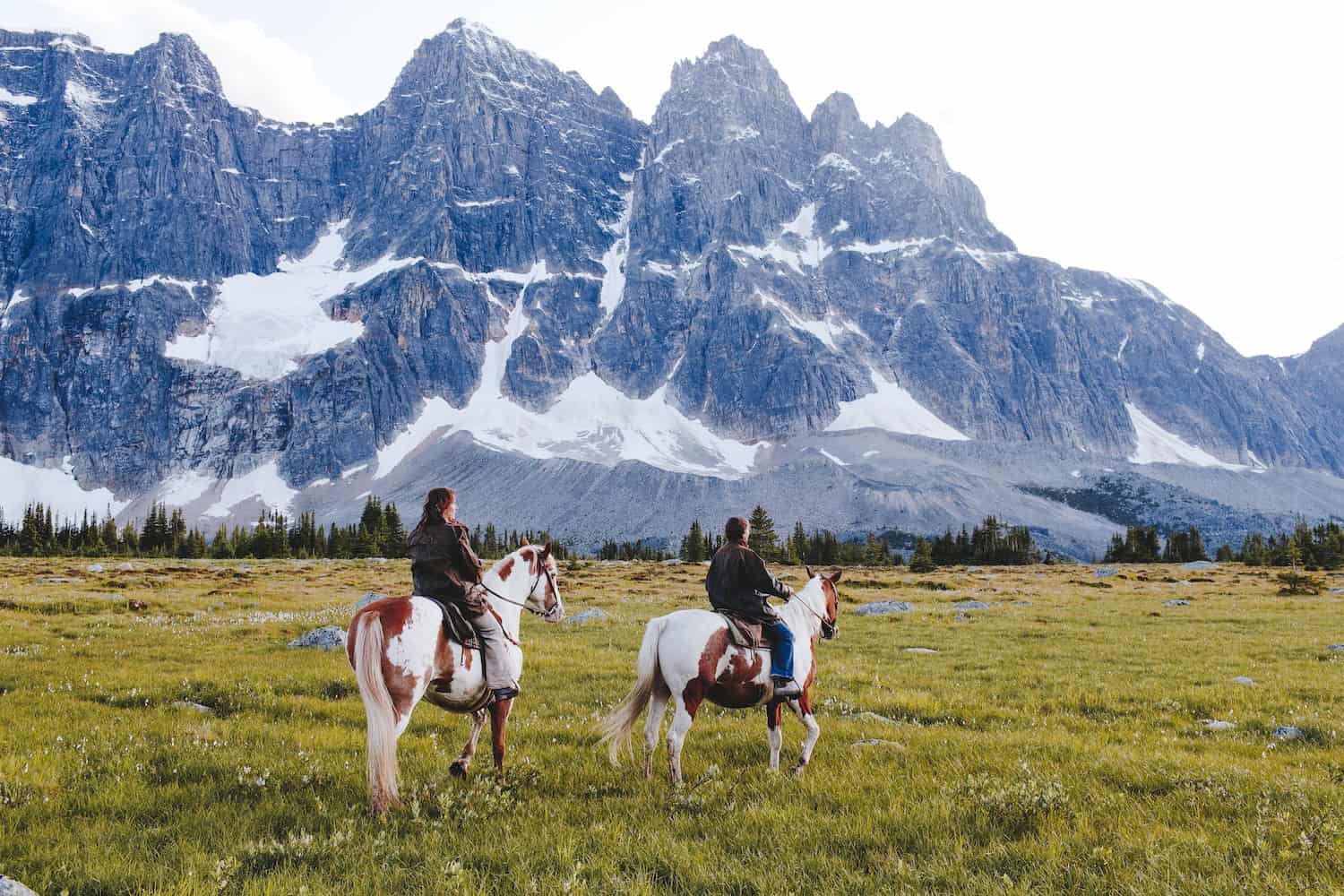 Reiten im Tonquin Valley Jasper Nationalpark in Alberta, Kanada