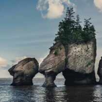 Das sind die Must-Do’s in <span>New Brunswick</span>