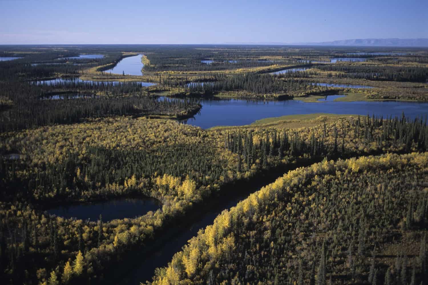 Blick von oben auf die Landschaften des McKenzie Deltas der Northwest Territories.