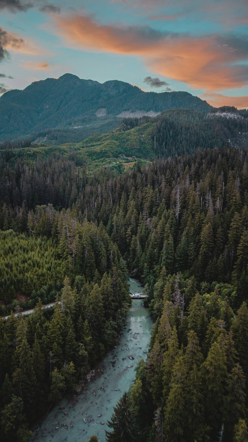 Blick auf Wälder in Kitimat in British Columbia, Kanada.
