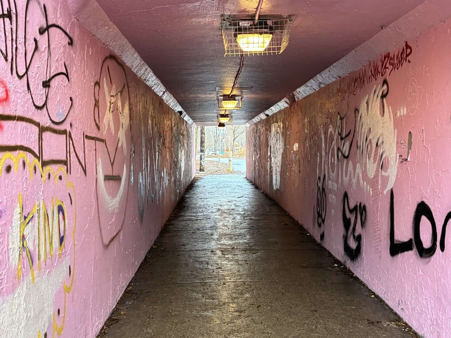 The Pink Tunnel in Hamilton.
