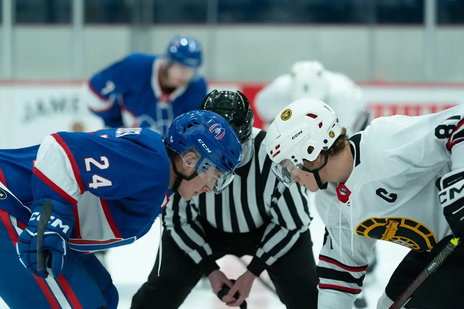 Ausschnitt der Serie "Heated Rivalry", auf dem Eishockeyfeld.